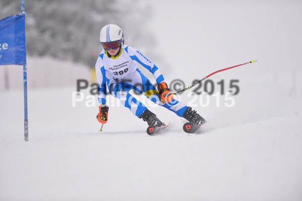 Int. Werdenfelser Kinderskitag + BZB Cup 2015