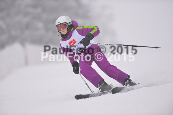 Int. Werdenfelser Kinderskitag + BZB Cup 2015