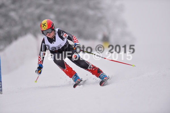 Int. Werdenfelser Kinderskitag + BZB Cup 2015