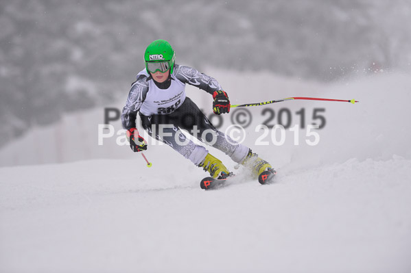 Int. Werdenfelser Kinderskitag + BZB Cup 2015