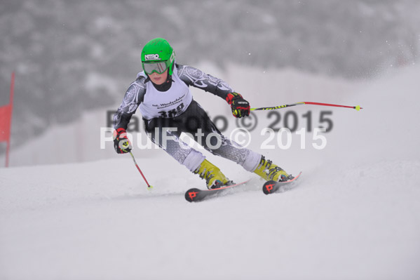 Int. Werdenfelser Kinderskitag + BZB Cup 2015