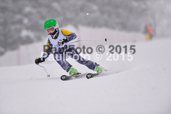 Int. Werdenfelser Kinderskitag + BZB Cup 2015