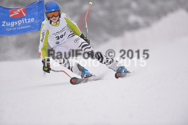 Int. Werdenfelser Kinderskitag + BZB Cup 2015