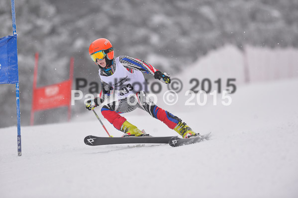 Int. Werdenfelser Kinderskitag + BZB Cup 2015
