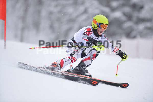 Int. Werdenfelser Kinderskitag + BZB Cup 2015