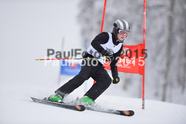 Int. Werdenfelser Kinderskitag + BZB Cup 2015