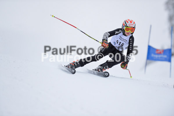 Int. Werdenfelser Kinderskitag + BZB Cup 2015