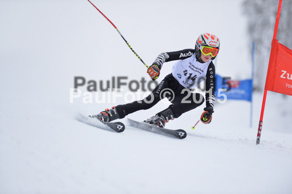 Int. Werdenfelser Kinderskitag + BZB Cup 2015