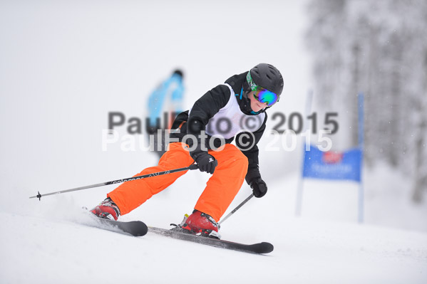 Int. Werdenfelser Kinderskitag + BZB Cup 2015