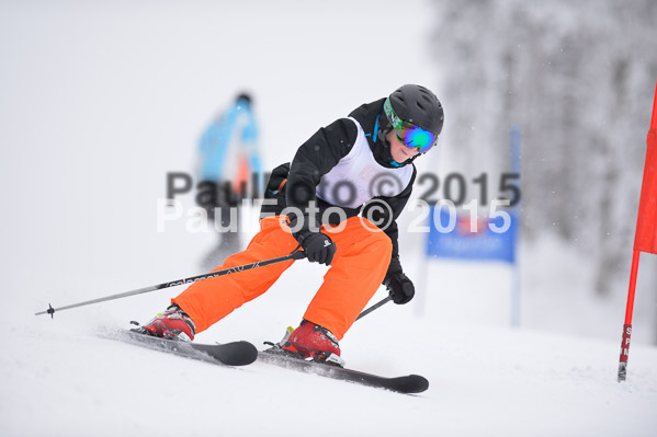 Int. Werdenfelser Kinderskitag + BZB Cup 2015
