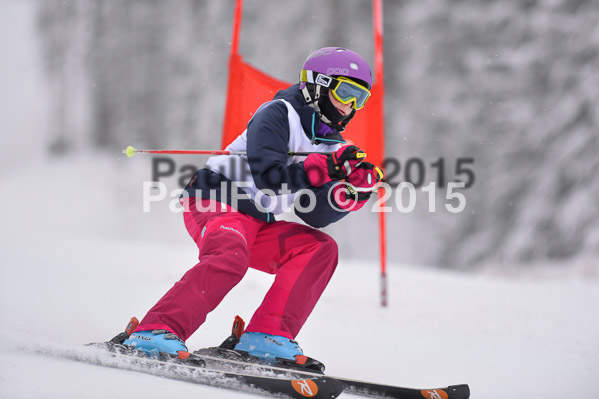 Int. Werdenfelser Kinderskitag + BZB Cup 2015