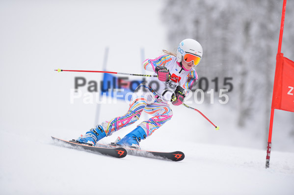 Int. Werdenfelser Kinderskitag + BZB Cup 2015