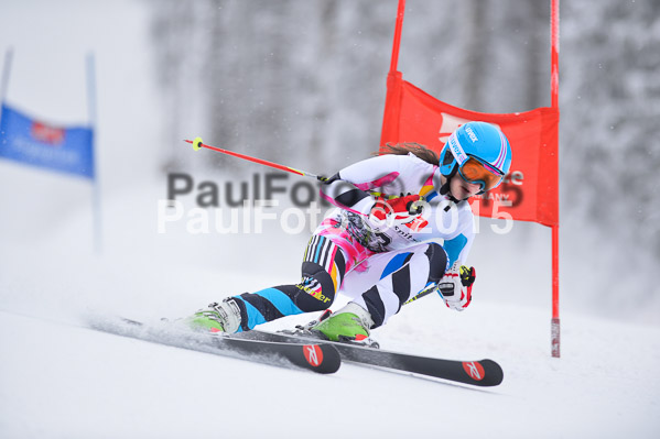 Int. Werdenfelser Kinderskitag + BZB Cup 2015