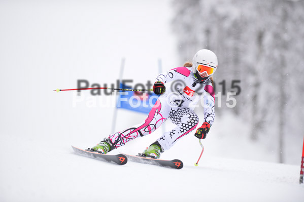 Int. Werdenfelser Kinderskitag + BZB Cup 2015
