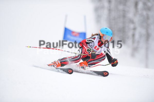 Int. Werdenfelser Kinderskitag + BZB Cup 2015