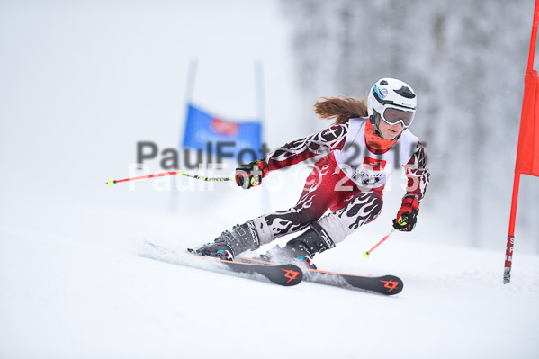 Int. Werdenfelser Kinderskitag + BZB Cup 2015