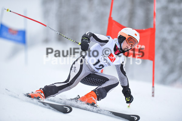 Int. Werdenfelser Kinderskitag + BZB Cup 2015