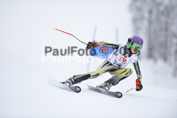 Int. Werdenfelser Kinderskitag + BZB Cup 2015
