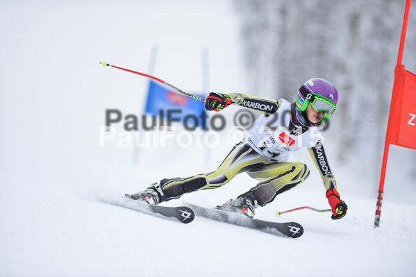 Int. Werdenfelser Kinderskitag + BZB Cup 2015