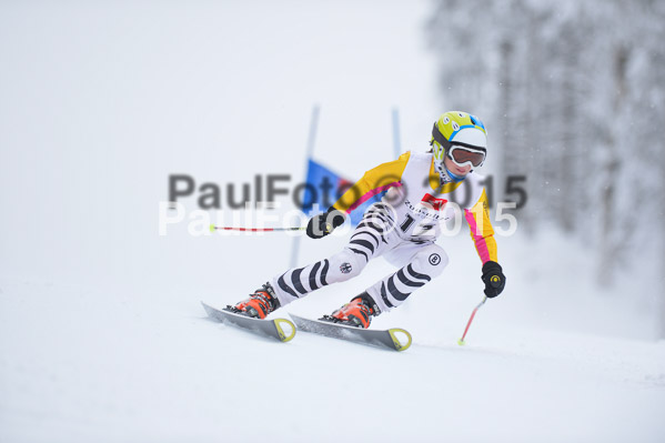 Int. Werdenfelser Kinderskitag + BZB Cup 2015