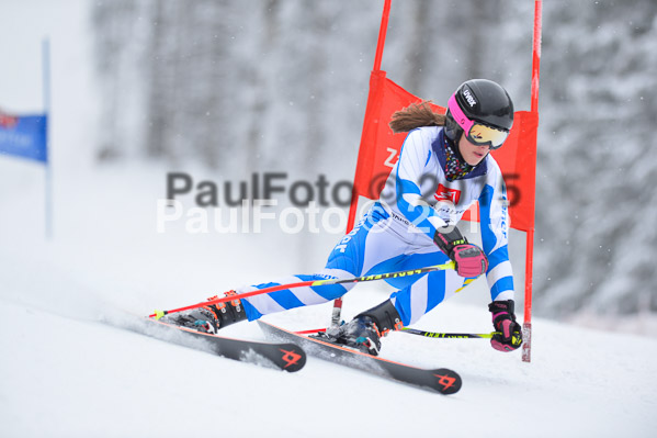 Int. Werdenfelser Kinderskitag + BZB Cup 2015