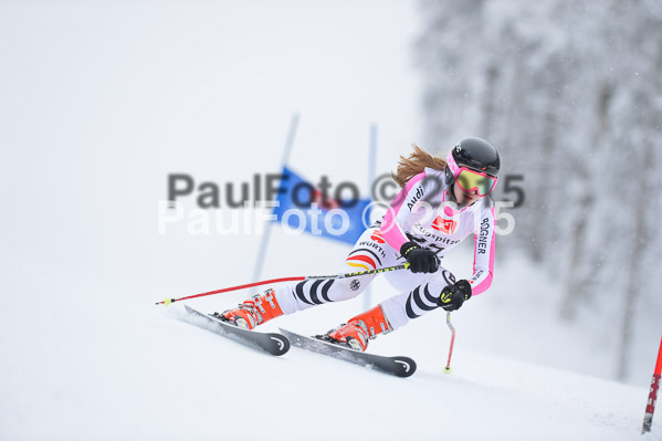 Int. Werdenfelser Kinderskitag + BZB Cup 2015