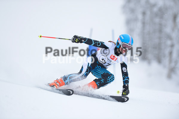 Int. Werdenfelser Kinderskitag + BZB Cup 2015