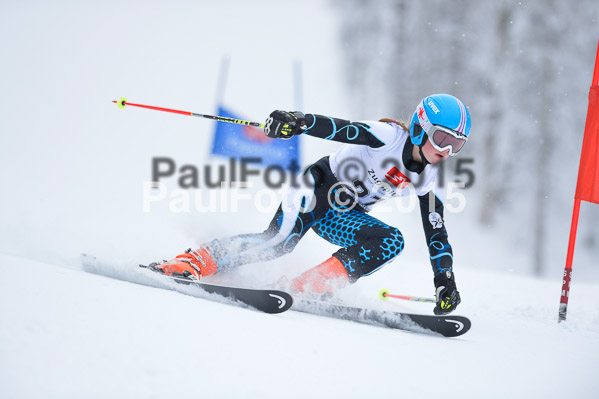 Int. Werdenfelser Kinderskitag + BZB Cup 2015