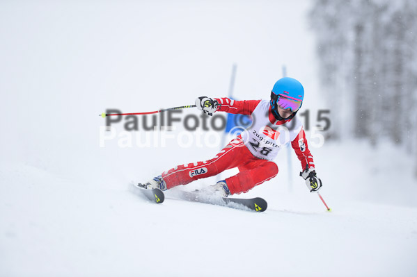 Int. Werdenfelser Kinderskitag + BZB Cup 2015