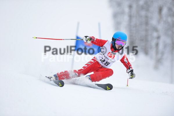 Int. Werdenfelser Kinderskitag + BZB Cup 2015