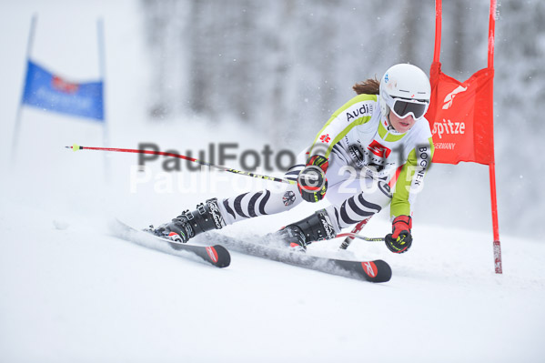 Int. Werdenfelser Kinderskitag + BZB Cup 2015