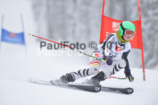 Int. Werdenfelser Kinderskitag + BZB Cup 2015