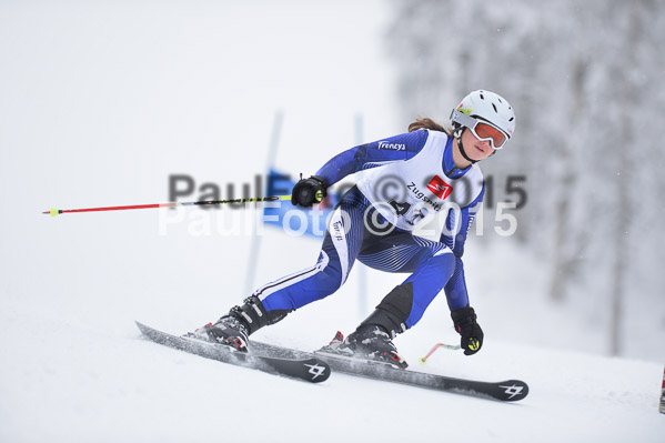 Int. Werdenfelser Kinderskitag + BZB Cup 2015