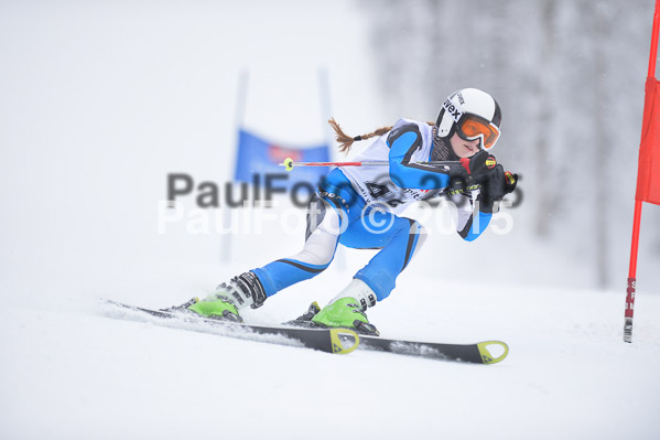 Int. Werdenfelser Kinderskitag + BZB Cup 2015