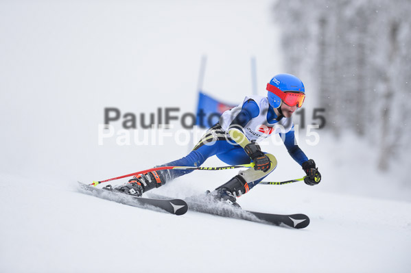 Int. Werdenfelser Kinderskitag + BZB Cup 2015