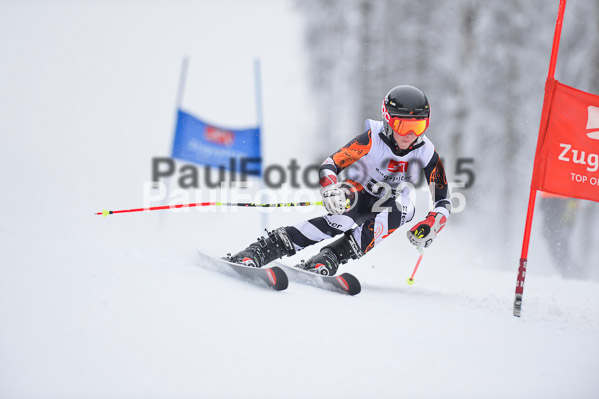 Int. Werdenfelser Kinderskitag + BZB Cup 2015