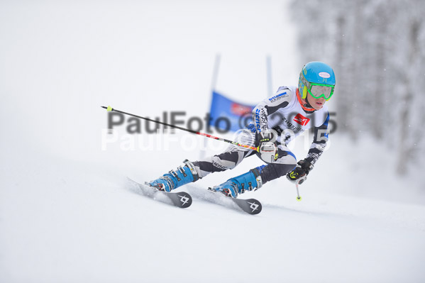 Int. Werdenfelser Kinderskitag + BZB Cup 2015