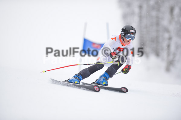 Int. Werdenfelser Kinderskitag + BZB Cup 2015