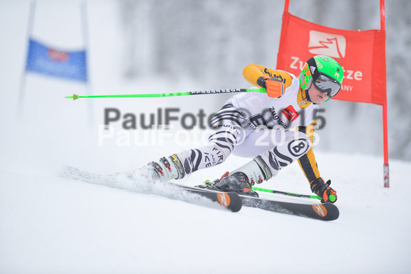 Int. Werdenfelser Kinderskitag + BZB Cup 2015