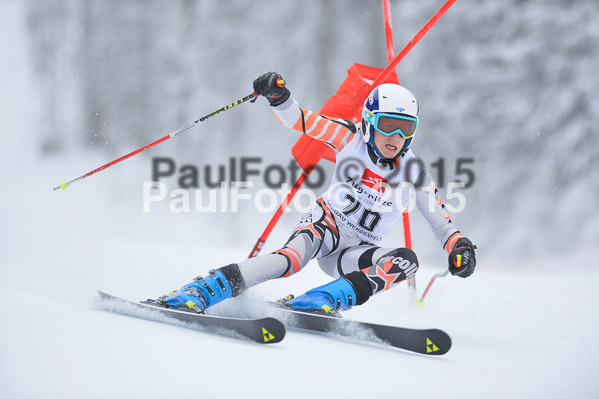 Int. Werdenfelser Kinderskitag + BZB Cup 2015