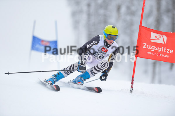 Int. Werdenfelser Kinderskitag + BZB Cup 2015