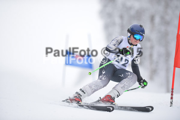 Int. Werdenfelser Kinderskitag + BZB Cup 2015