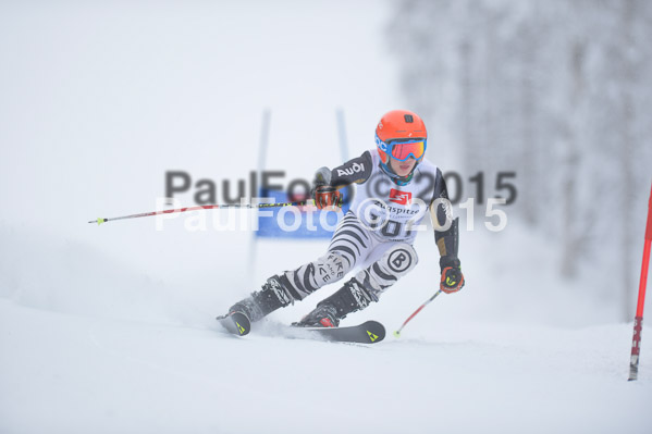 Int. Werdenfelser Kinderskitag + BZB Cup 2015