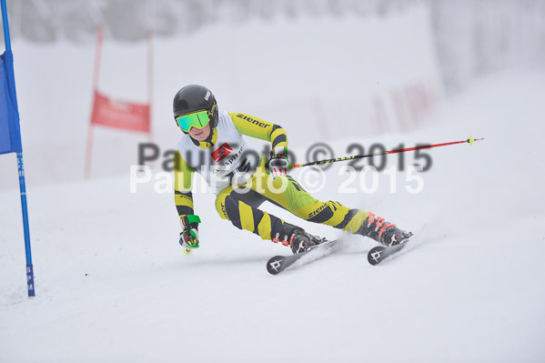 Int. Werdenfelser Kinderskitag + BZB Cup 2015