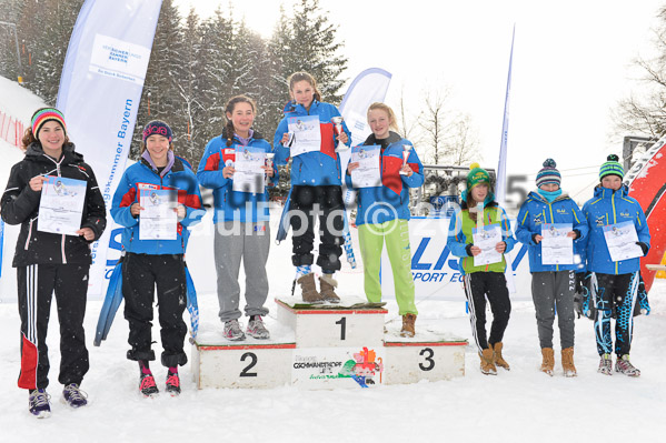 SVM Rennserie VI