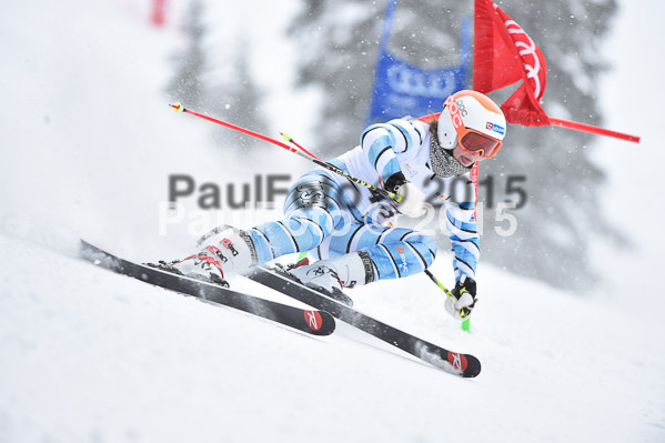 6. DSV Schülercup U16 2015