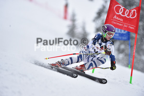 6. DSV Schülercup U16 2015