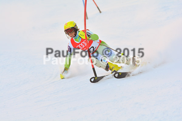 FIS Slalom Herren 2015