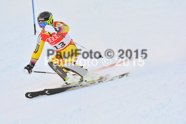 FIS Slalom Herren 2015