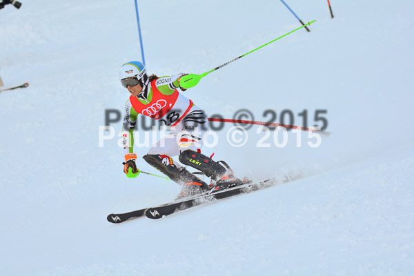 FIS Slalom Herren 2015